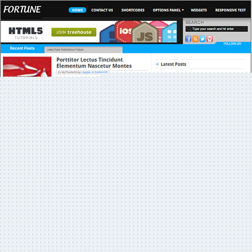 MyThemeShop Fortune WordPress Theme